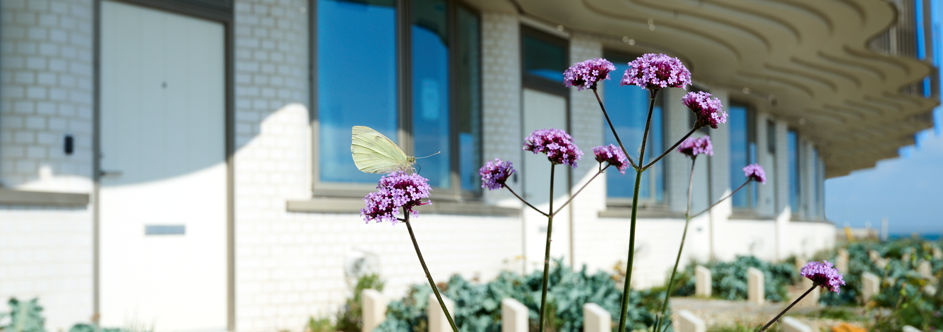 Your Estate Management Guide