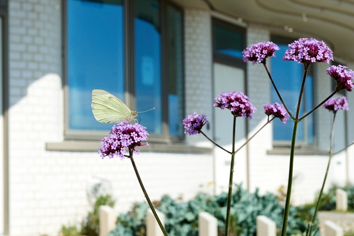 Your Estate Management Guide